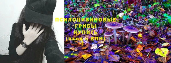 винт Корсаков