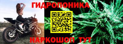 apvp Беслан