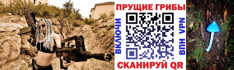 Галлюциногенные грибы Cubensis  закладки  Владивосток 
