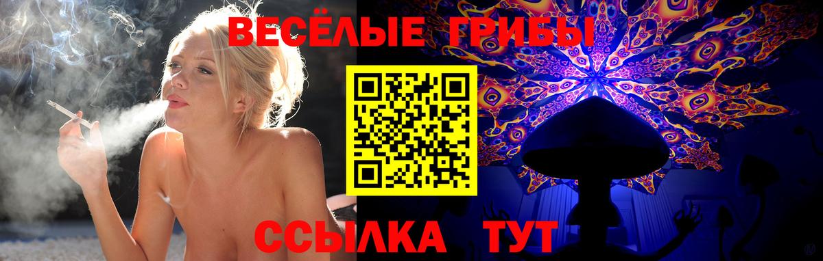 Галлюциногенные грибы Psilocybine cubensis Владивосток